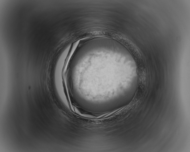 X0000086730696200705111615
