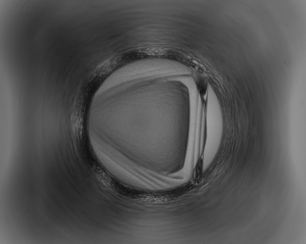 X0000086730697200705111615