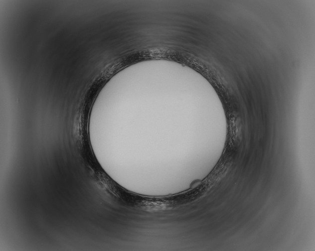 X0000086730698200705111615