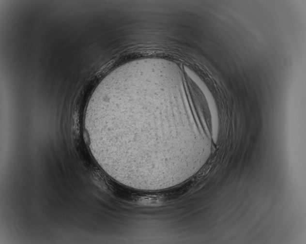 X0000086730700200705111615