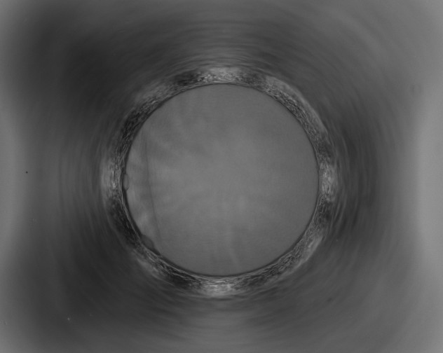 X0000086730701200705111615