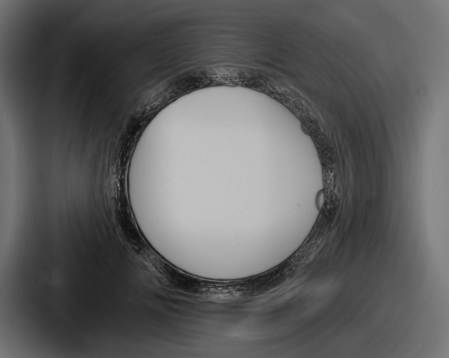 X0000086730702200705111615