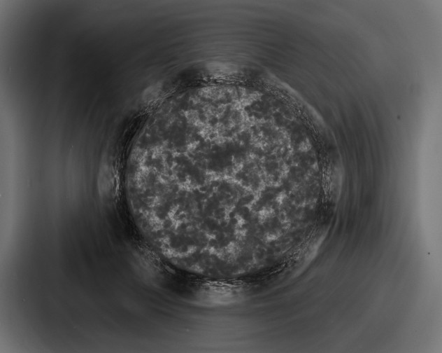 X0000086730703200705111615