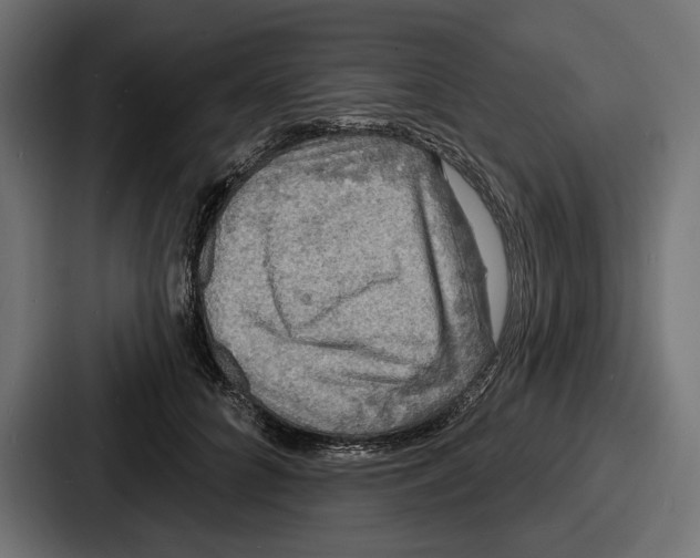X0000086730704200705111615