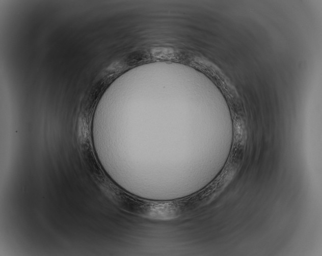 X0000086730705200705111615