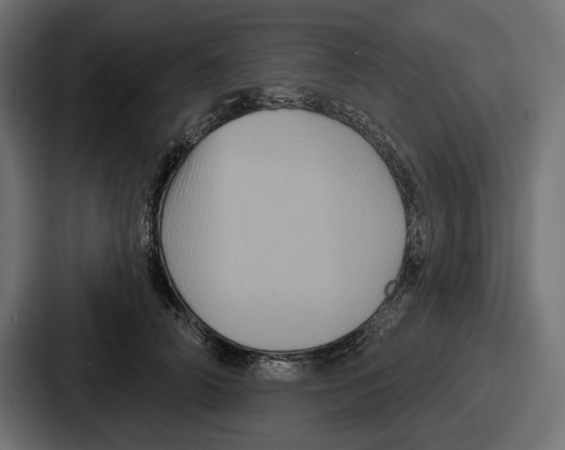 X0000086730706200705111615