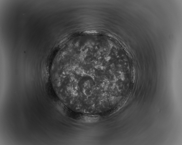 X0000086730707200705111615