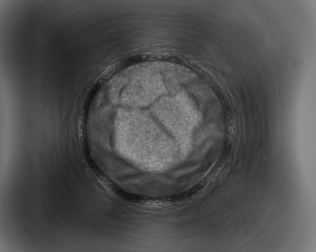 X0000086730708200705111615