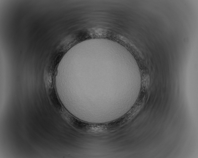 X0000086730709200705111615