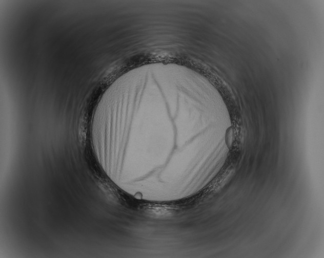 X0000086730710200705111615