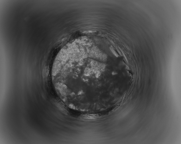 X0000086730711200705111615