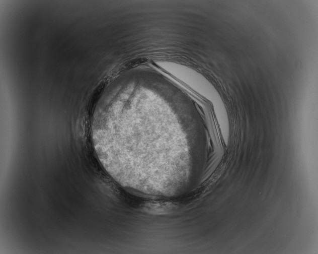 X0000086730712200705111615