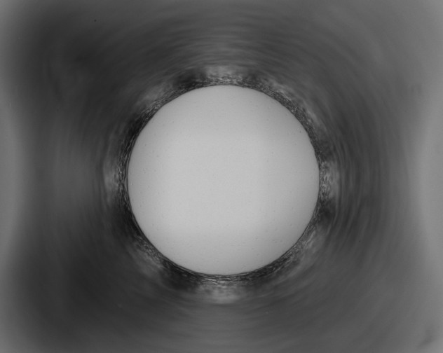 X0000086730713200705111615