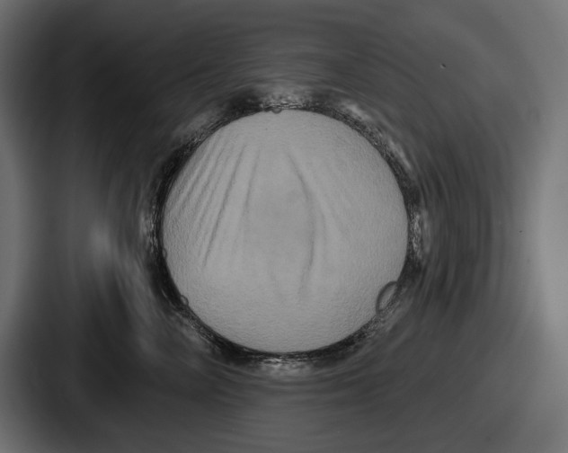 X0000086730714200705111615