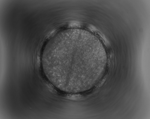 X0000086730716200705111615