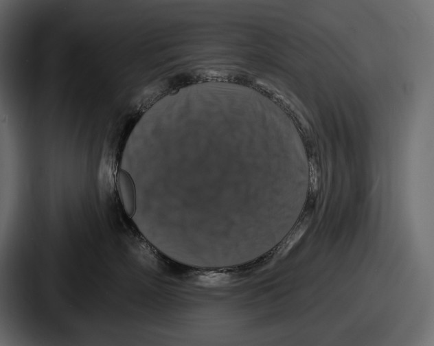 X0000086730718200705111615