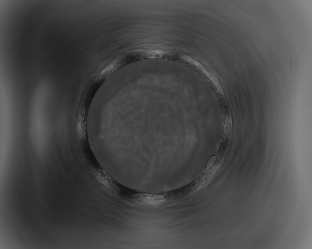 X0000086730719200705111615