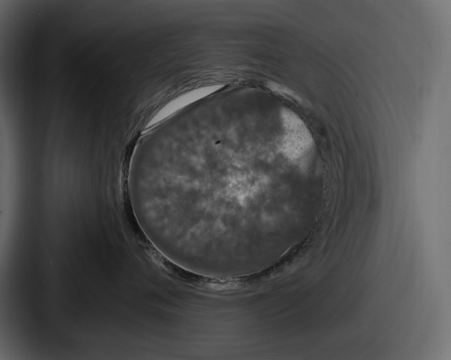 X0000086730720200705111615