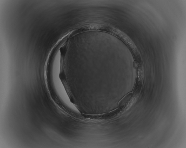 X0000086730722200705111614