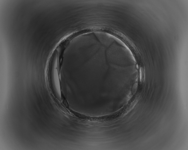 X0000086730723200705111614
