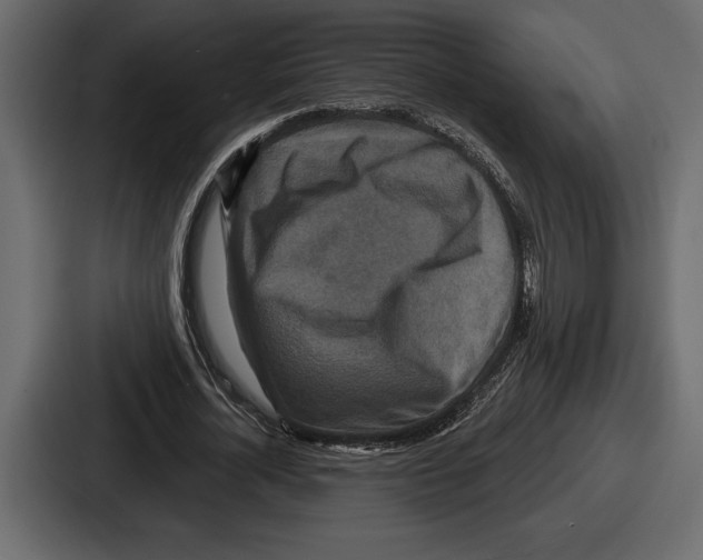 X0000086730724200705111614