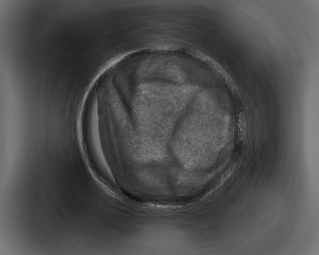 X0000086730726200705111614