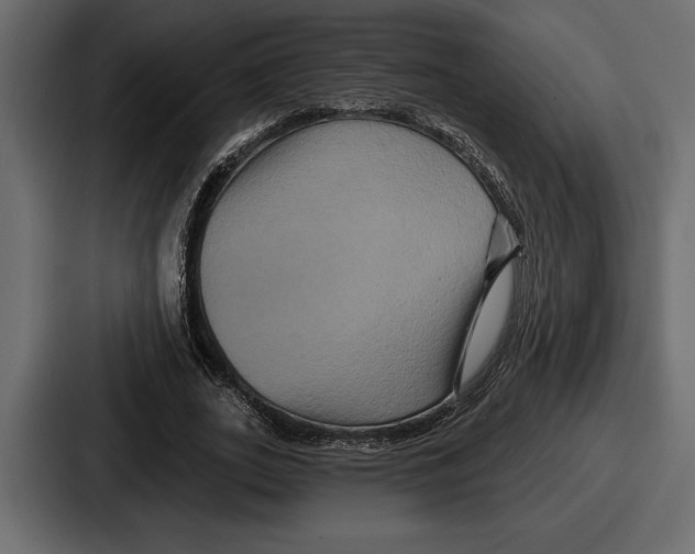 X0000086730727200705111614