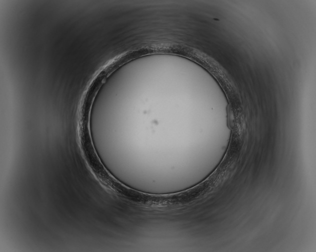 X0000086730728200705111614