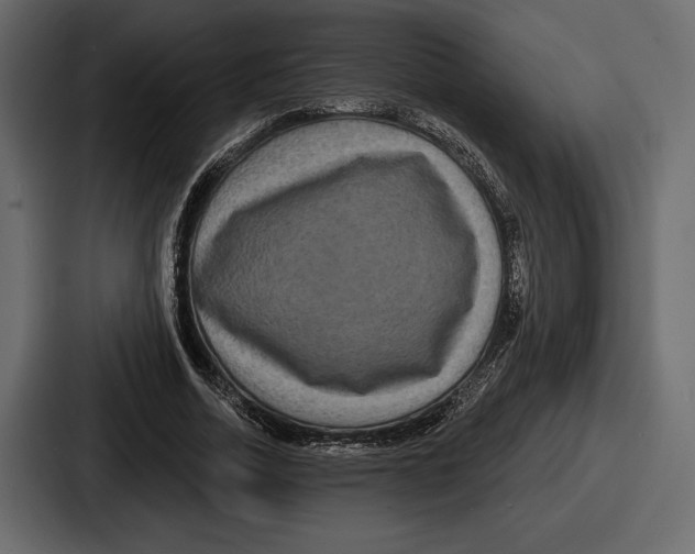 X0000086730730200705111614
