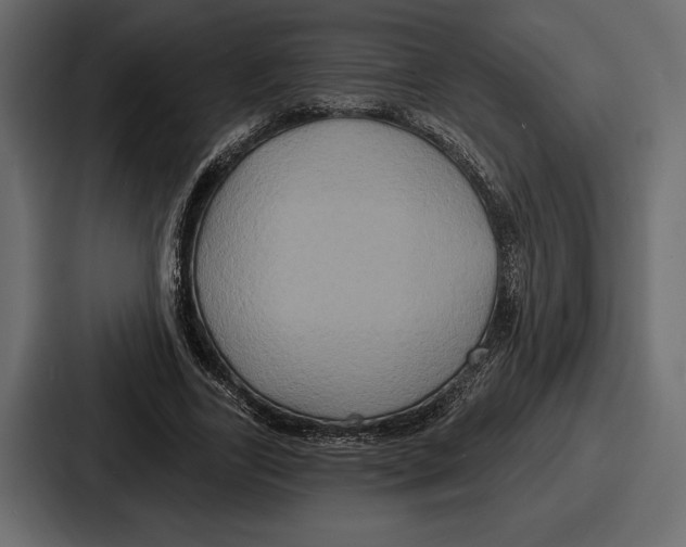 X0000086730731200705111614