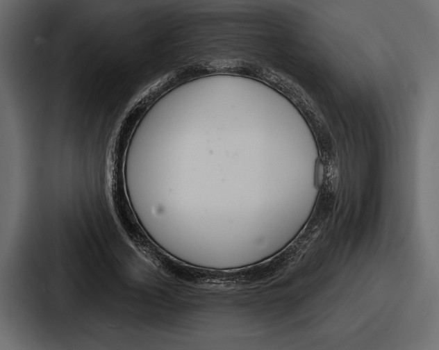 X0000086730732200705111614