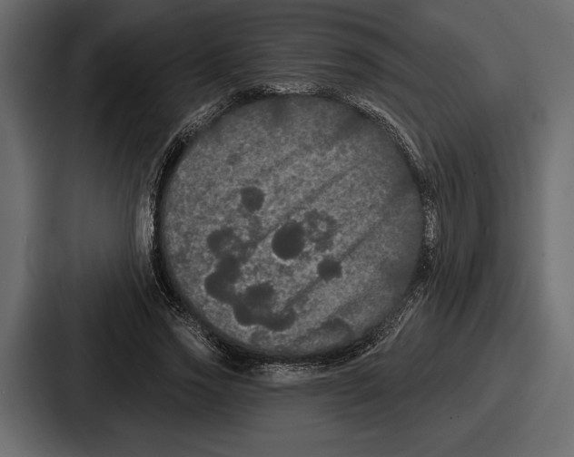 X0000086730733200705111614