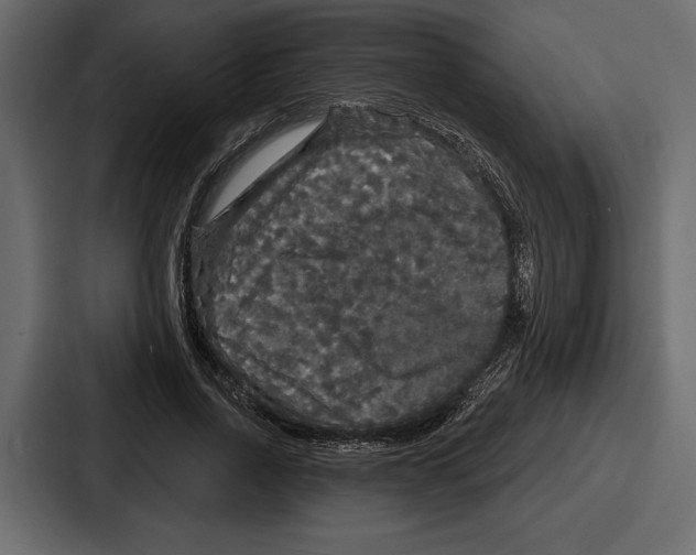 X0000086730734200705111614
