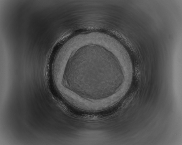 X0000086730735200705111614