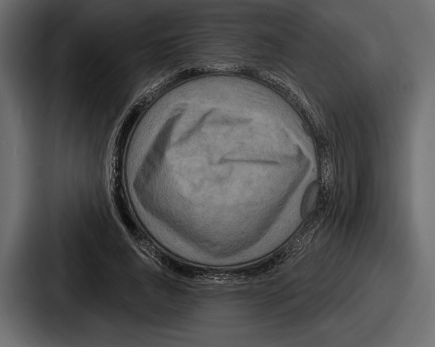 X0000086730736200705111614