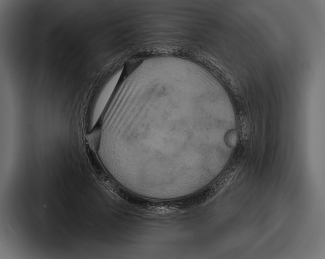 X0000086730737200705111614
