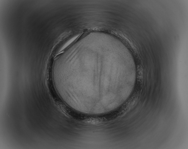 X0000086730738200705111614