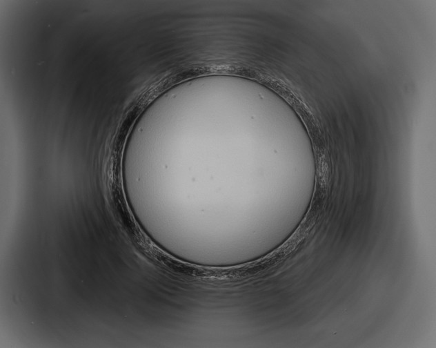 X0000086730740200705111614