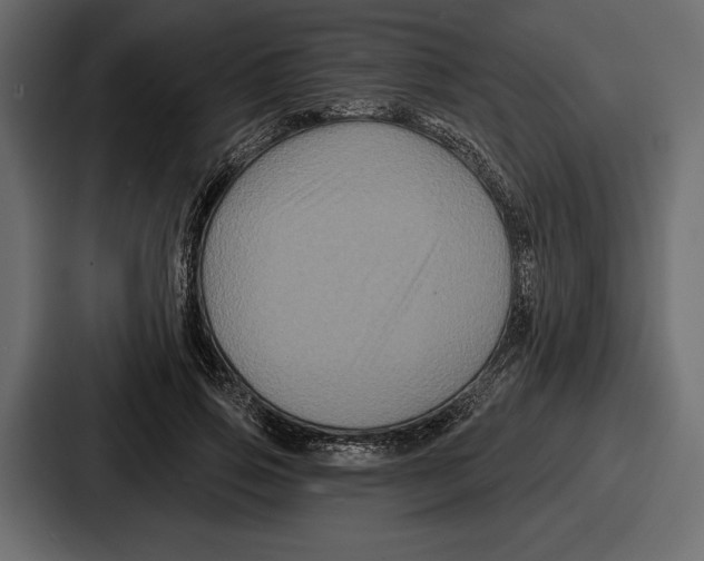 X0000086730741200705111614