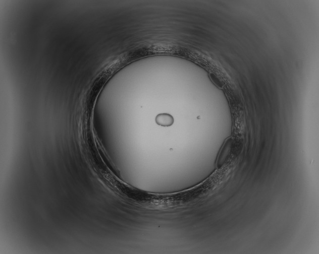 X0000086730744200705111614