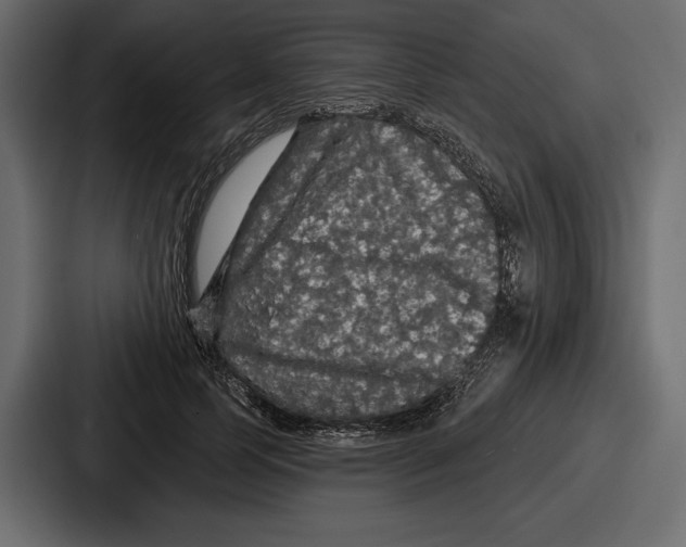 X0000086730745200705111614