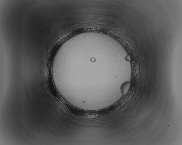 X0000086730746200705111614
