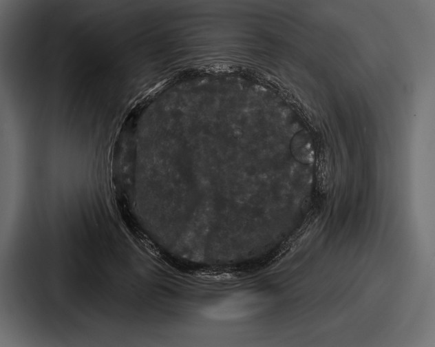 X0000086730747200705111614