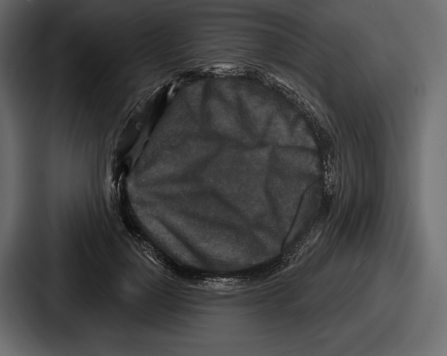 X0000086730748200705111614