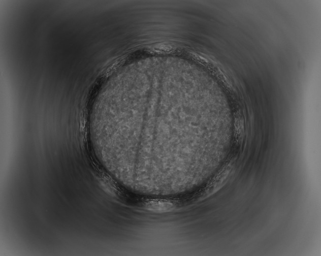 X0000086730749200705111614