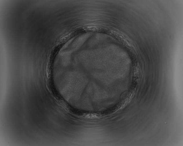 X0000086730751200705111614