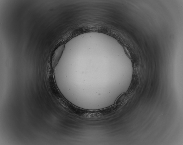 X0000086730752200705111614