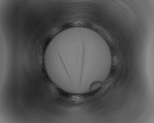 X0000086730753200705111614