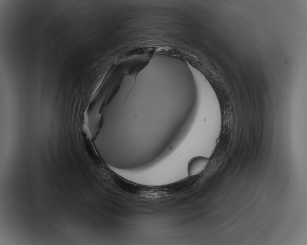 X0000086730754200705111614