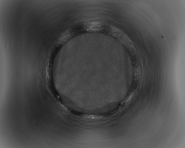 X0000086730755200705111614